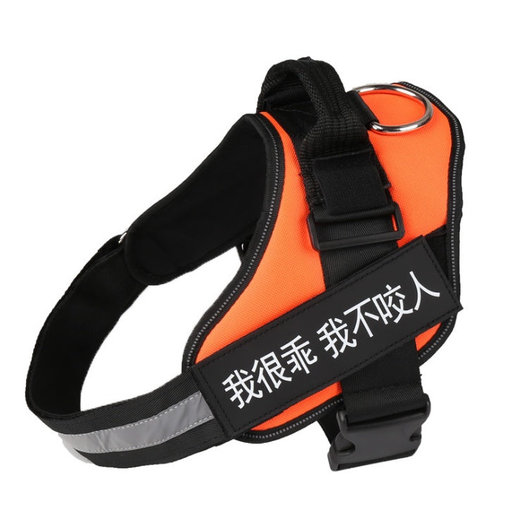 KFX-9908541 Adjustable Reflective Nylon Dog Leash with Durable Buckle and Stainless Steel Ring