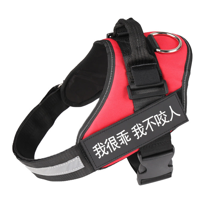 KFX-9908541 Adjustable Reflective Nylon Dog Leash with Durable Buckle and Stainless Steel Ring