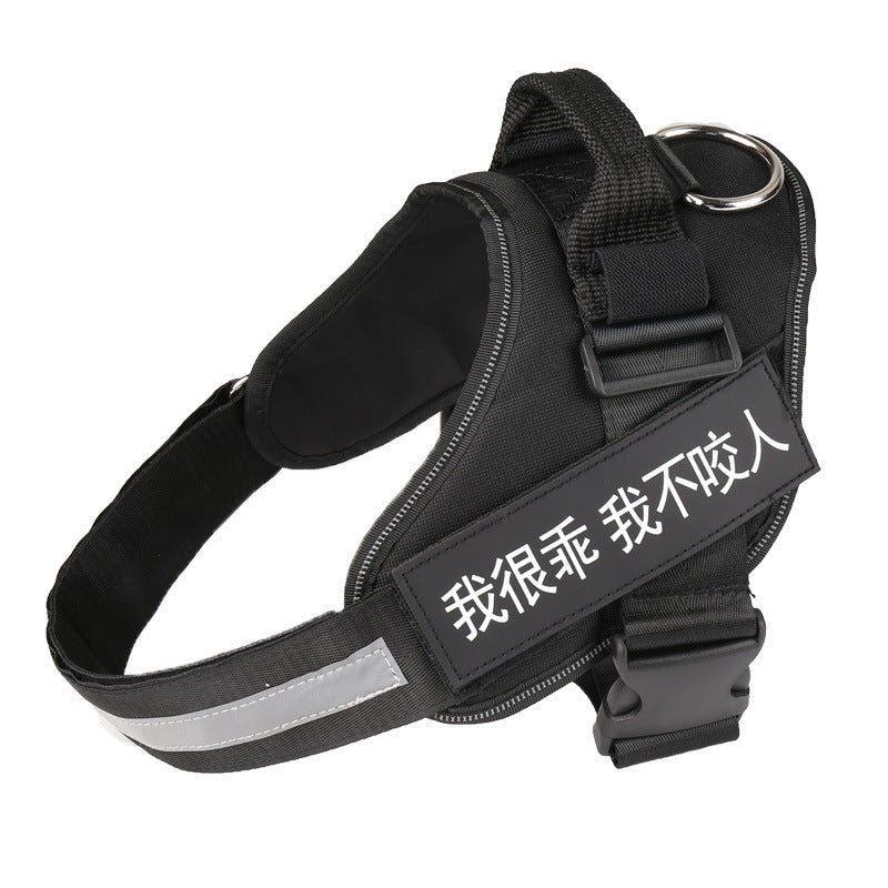 KFX-9908541 Adjustable Reflective Nylon Dog Leash with Durable Buckle and Stainless Steel Ring