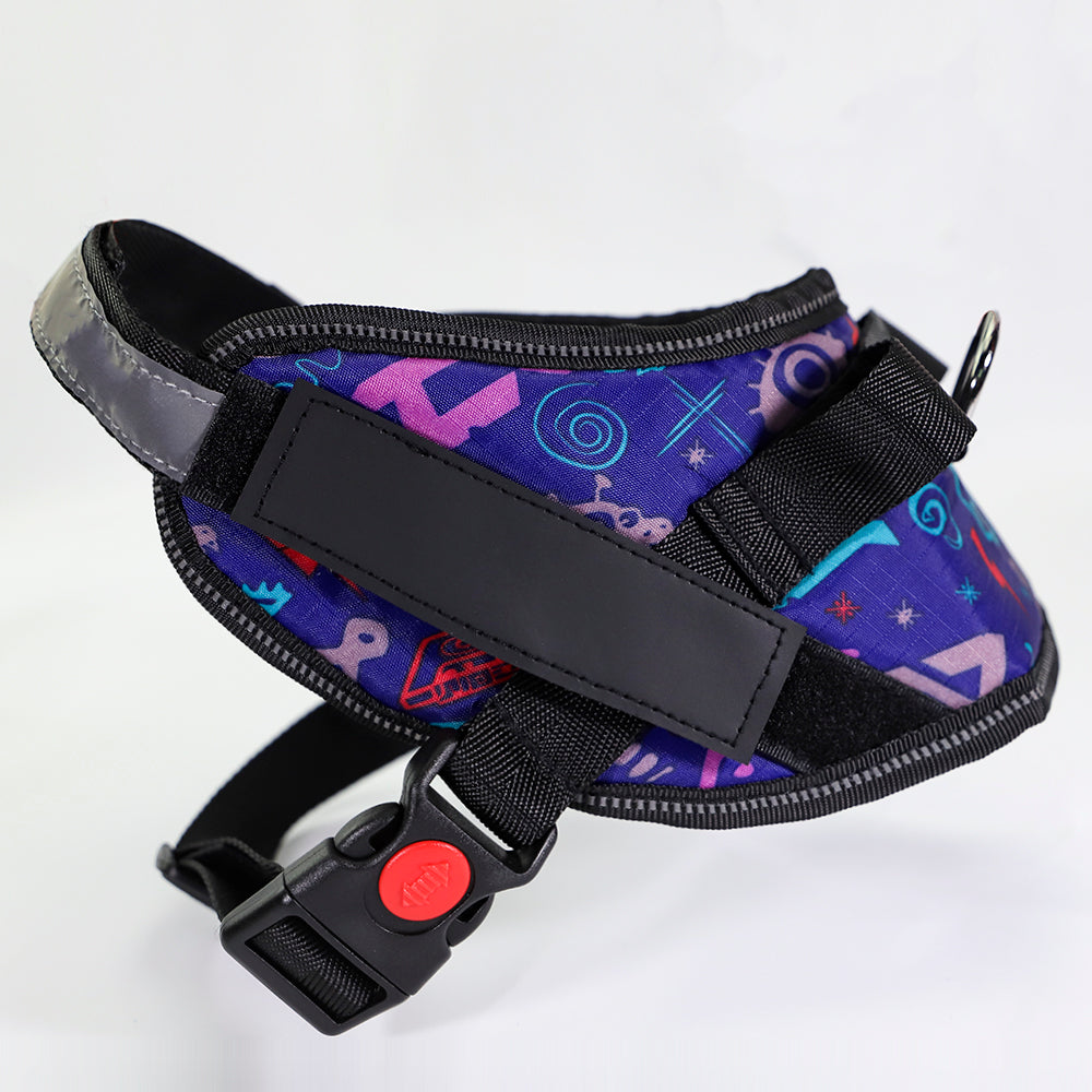 KFX-9908541 Adjustable Reflective Nylon Dog Leash with Durable Buckle and Stainless Steel Ring