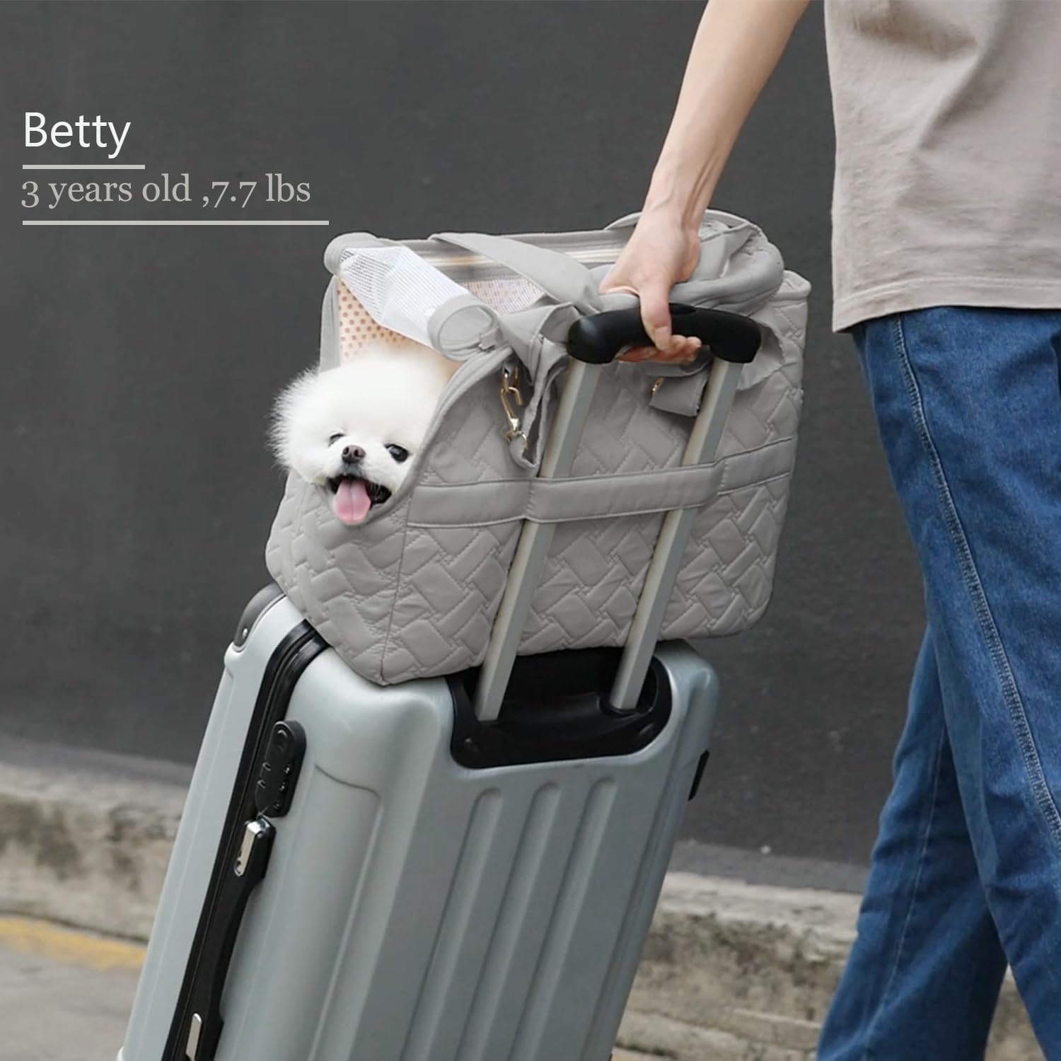 KFX-9915709 Breathable Pet Carrier Tote for Small Dogs and Cats with Soft Cushion and Multiple Pockets, Ideal for Travel and Outdoor Use