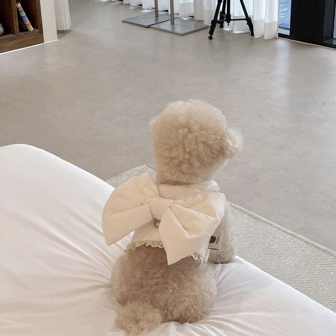 KFX-9920829 Plush Dog Harness with Bow - Autumn and Winter Apparel in Peach Pink and Creamy White