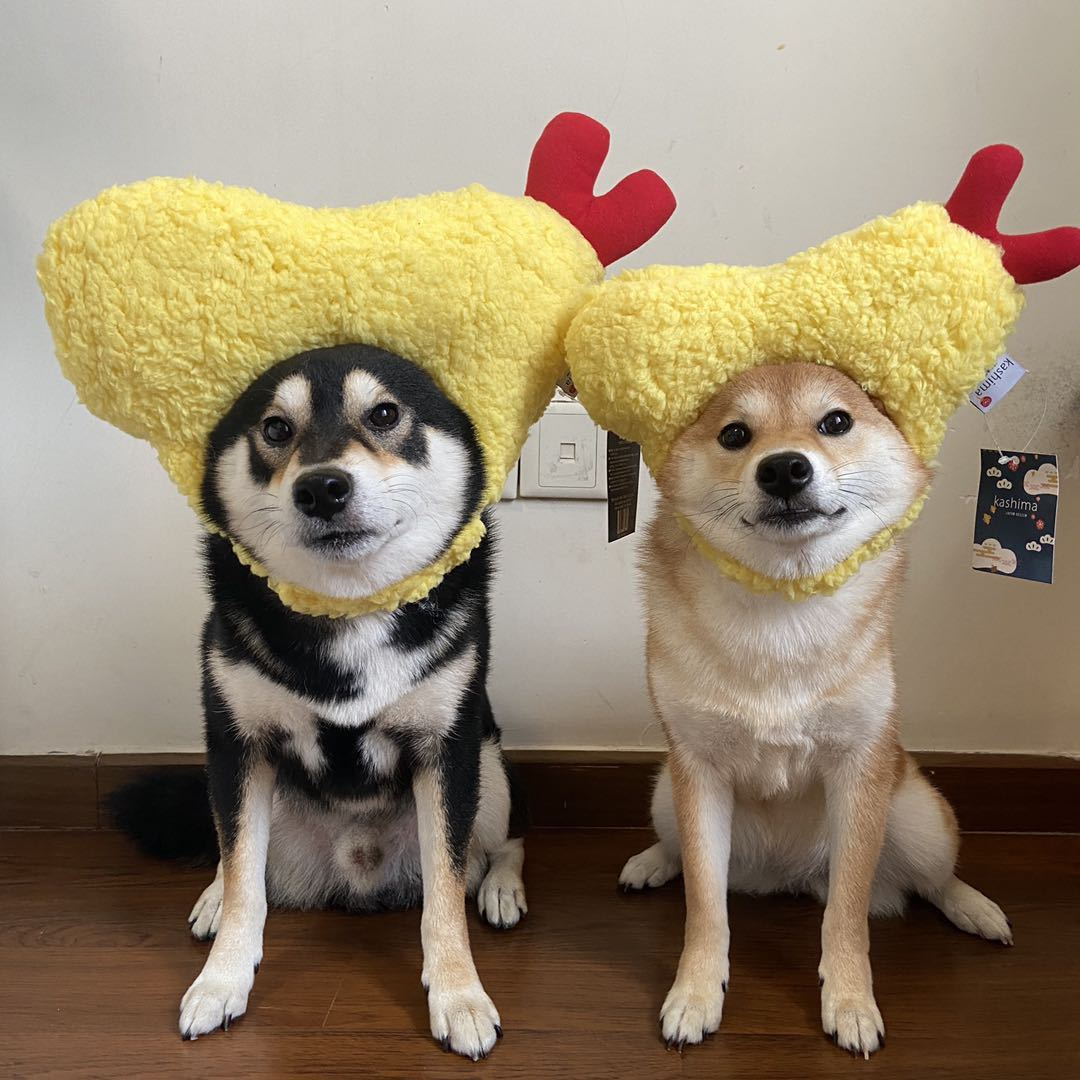 KFX-9922749 Tempura-Inspired Yellow Wool Hat for Cozy All-Season Style