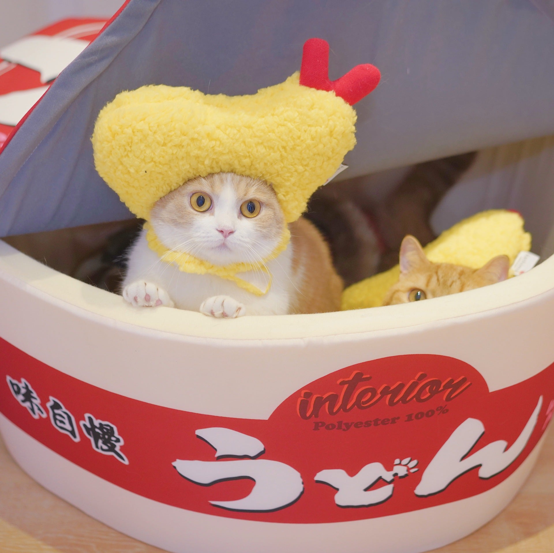 KFX-9922749 Tempura-Inspired Yellow Wool Hat for Cozy All-Season Style