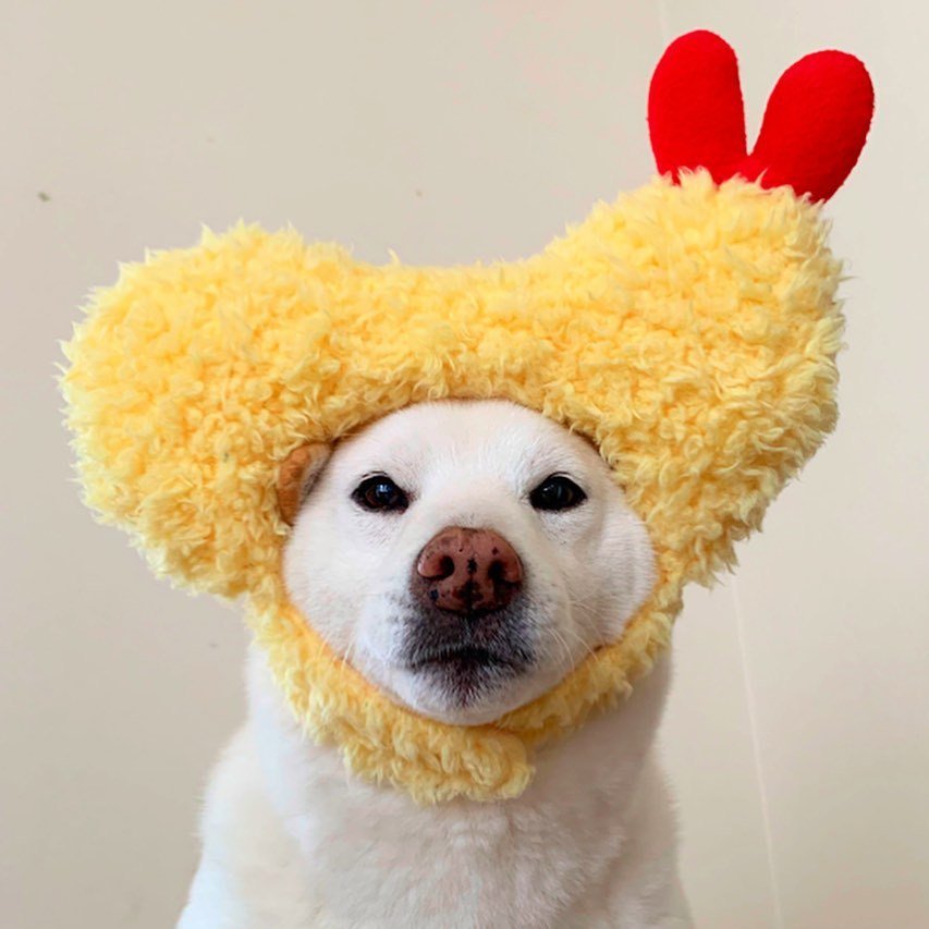 KFX-9922749 Tempura-Inspired Yellow Wool Hat for Cozy All-Season Style