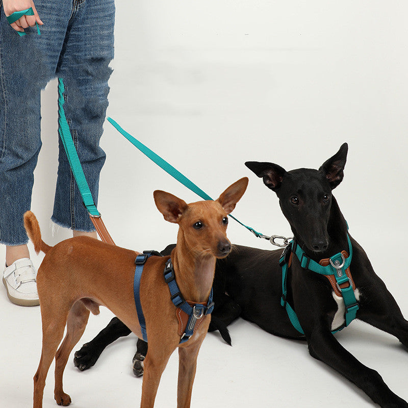 KFX-9923261 Explosion-proof Nylon Dog Leash for Puppies - Available in Cardamom Red, Yading Green, Yunshan Blue