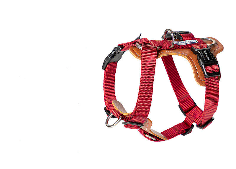 KFX-9923261 Explosion-proof Nylon Dog Leash for Puppies - Available in Cardamom Red, Yading Green, Yunshan Blue