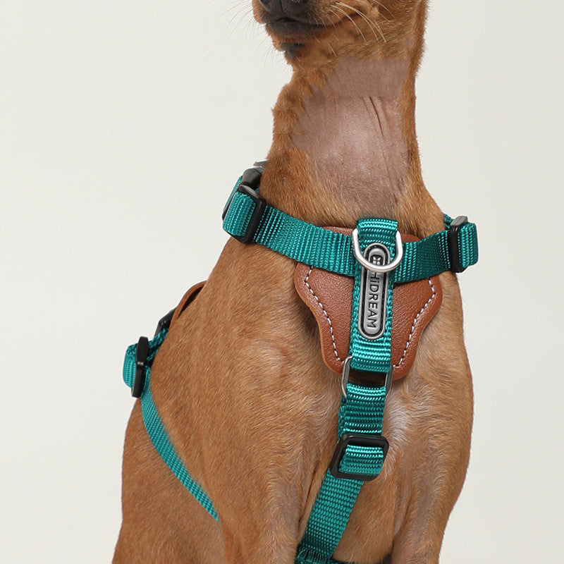 KFX-9923261 Explosion-proof Nylon Dog Leash for Puppies - Available in Cardamom Red, Yading Green, Yunshan Blue