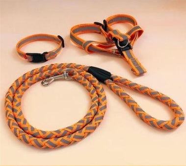 KFX-9923773 Durable Pet Dog Leash with Adjustable Collar and Secure Fit for Small to Large Breeds