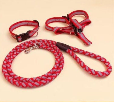 KFX-9923773 Durable Pet Dog Leash with Adjustable Collar and Secure Fit for Small to Large Breeds