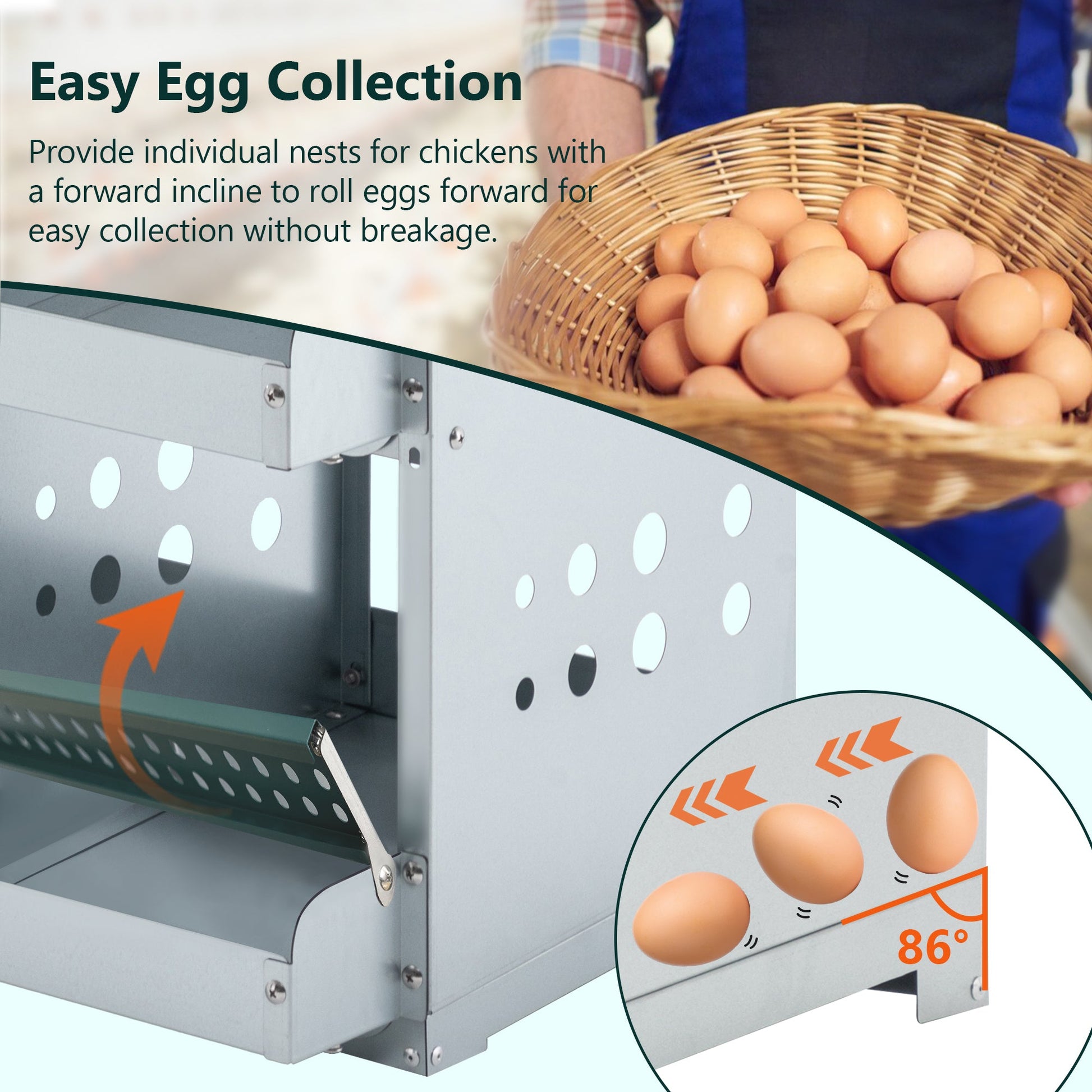 KFX-9927613 6-Compartment Roll-Away Chicken Nesting Box for Easy Egg Collection & Cleaning - Green