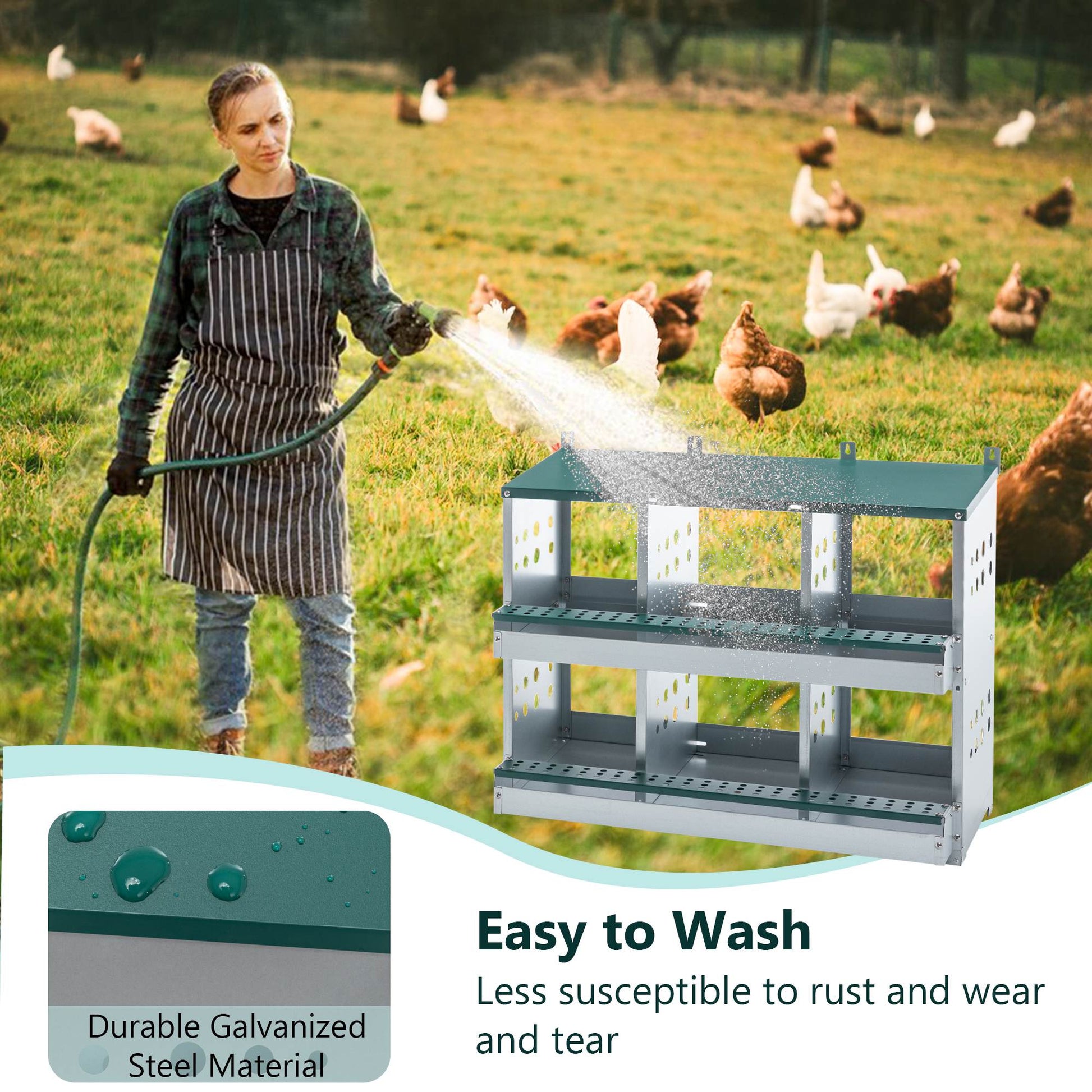 KFX-9927613 6-Compartment Roll-Away Chicken Nesting Box for Easy Egg Collection & Cleaning - Green