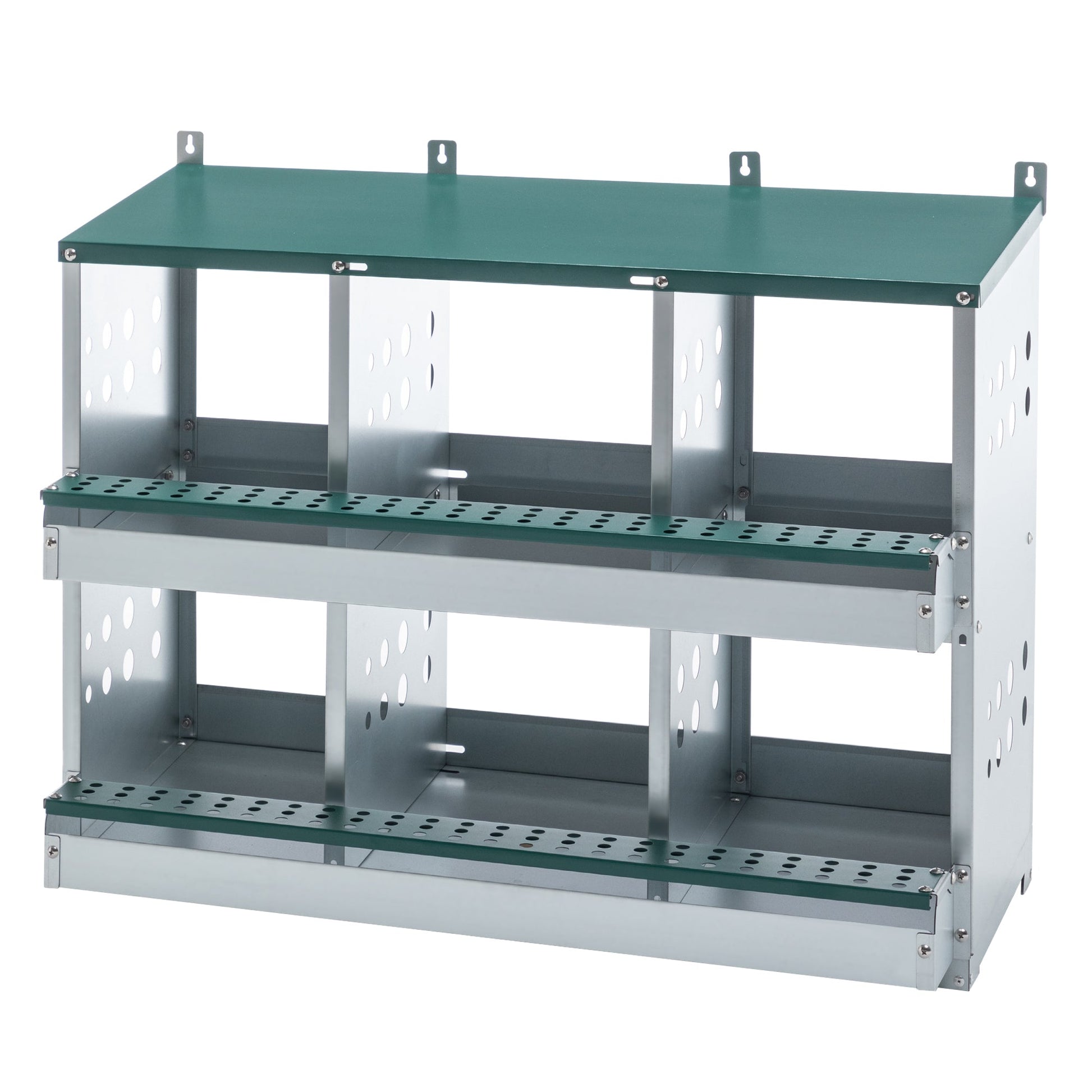 KFX-9927613 6-Compartment Roll-Away Chicken Nesting Box for Easy Egg Collection & Cleaning - Green