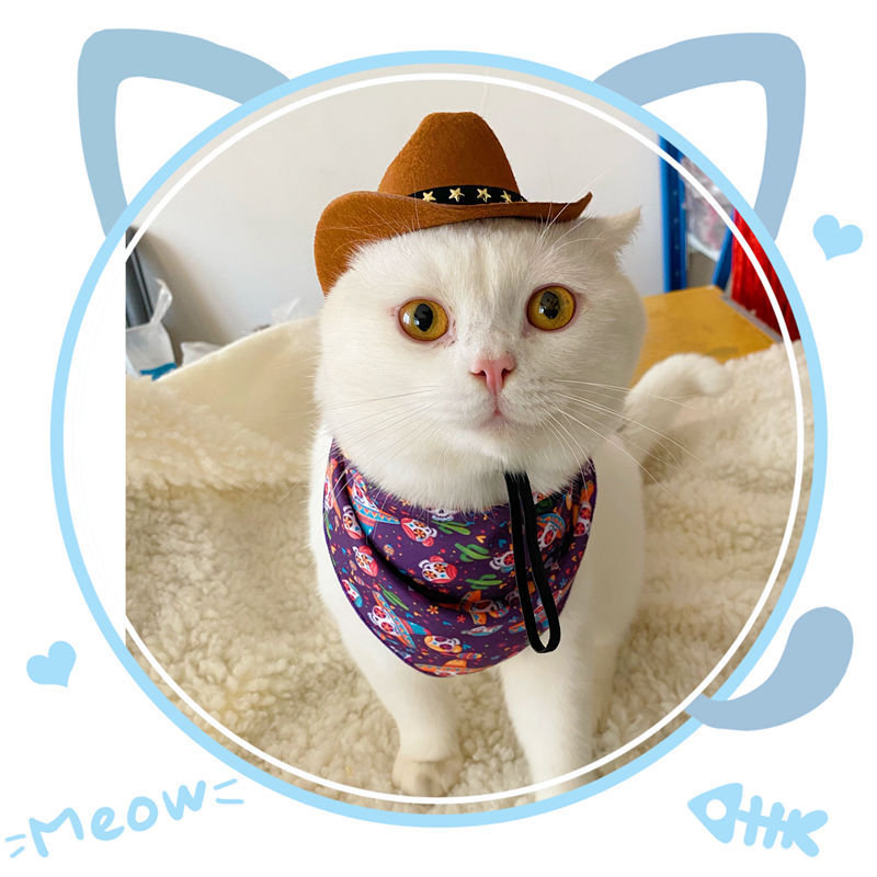 KFX-9928765 Cozy British Style Cat Hat for All Seasons in Various Color Options