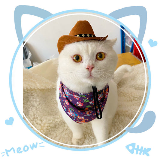 KFX-9928765 Cozy British Style Cat Hat for All Seasons in Various Color Options