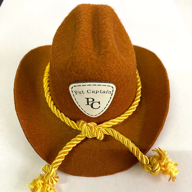 KFX-9928765 Cozy British Style Cat Hat for All Seasons in Various Color Options