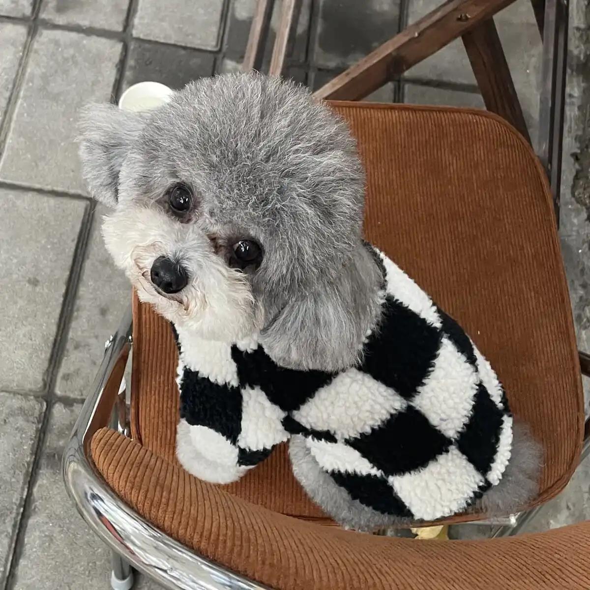 KFX-9936061 Checkerboard Pattern Velvet Pet Clothes - Small to XXL Sizes Available