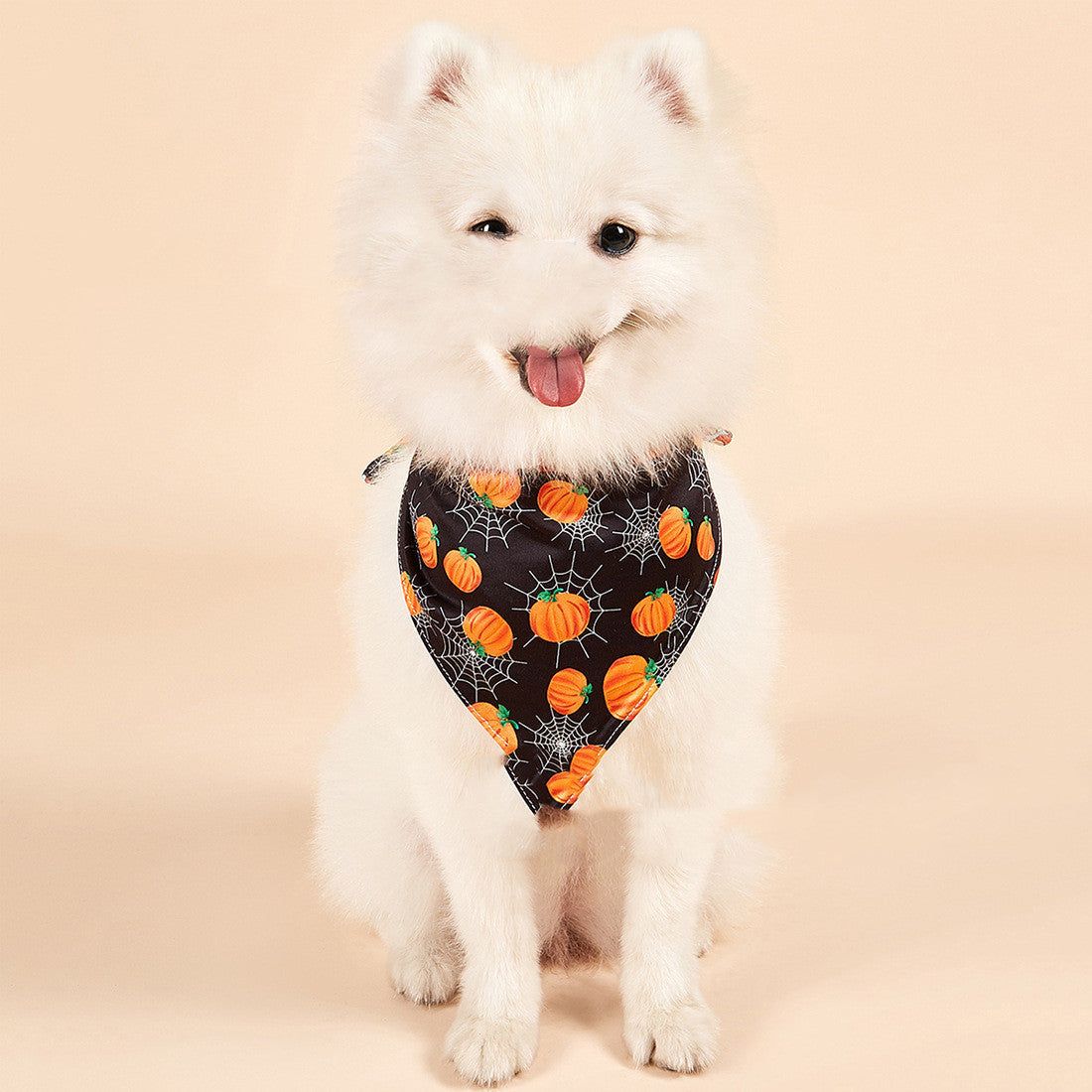 KFX-9937085 Halloween Double-Sided Saliva Towel for Pets - Various Patterns and Sizes Available