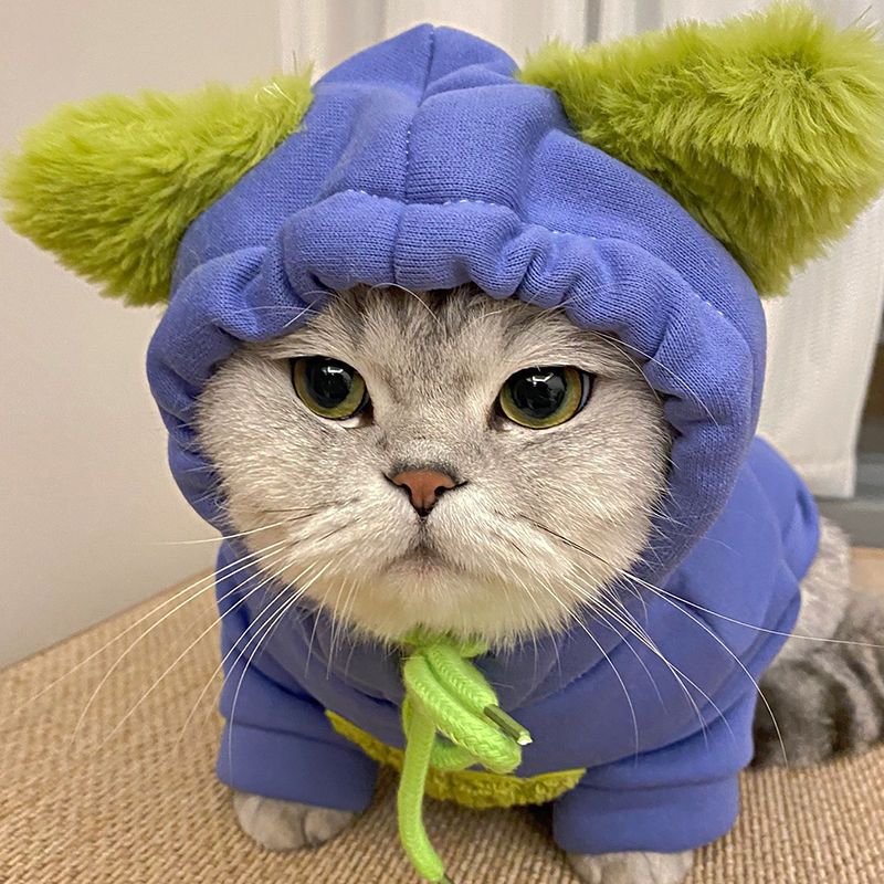 KFX-9945789 Rainbow Furry Coat and CP Sweater for Cats - Thickened Autumn & Winter Clothing