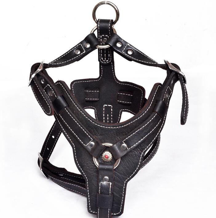 KFX-9956029 Genuine Oil Leather Dog Harness for Medium and Large Breeds, Adjustable Neck and Chest Measurements