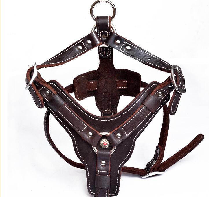 KFX-9956029 Genuine Oil Leather Dog Harness for Medium and Large Breeds, Adjustable Neck and Chest Measurements