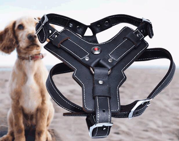 KFX-9956029 Genuine Oil Leather Dog Harness for Medium and Large Breeds, Adjustable Neck and Chest Measurements
