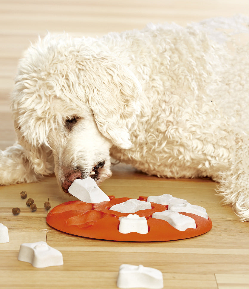 KFX-9963325 Educational Leak-Resistant Food Toy for Pets in Orange and White, Durable Plastic Design