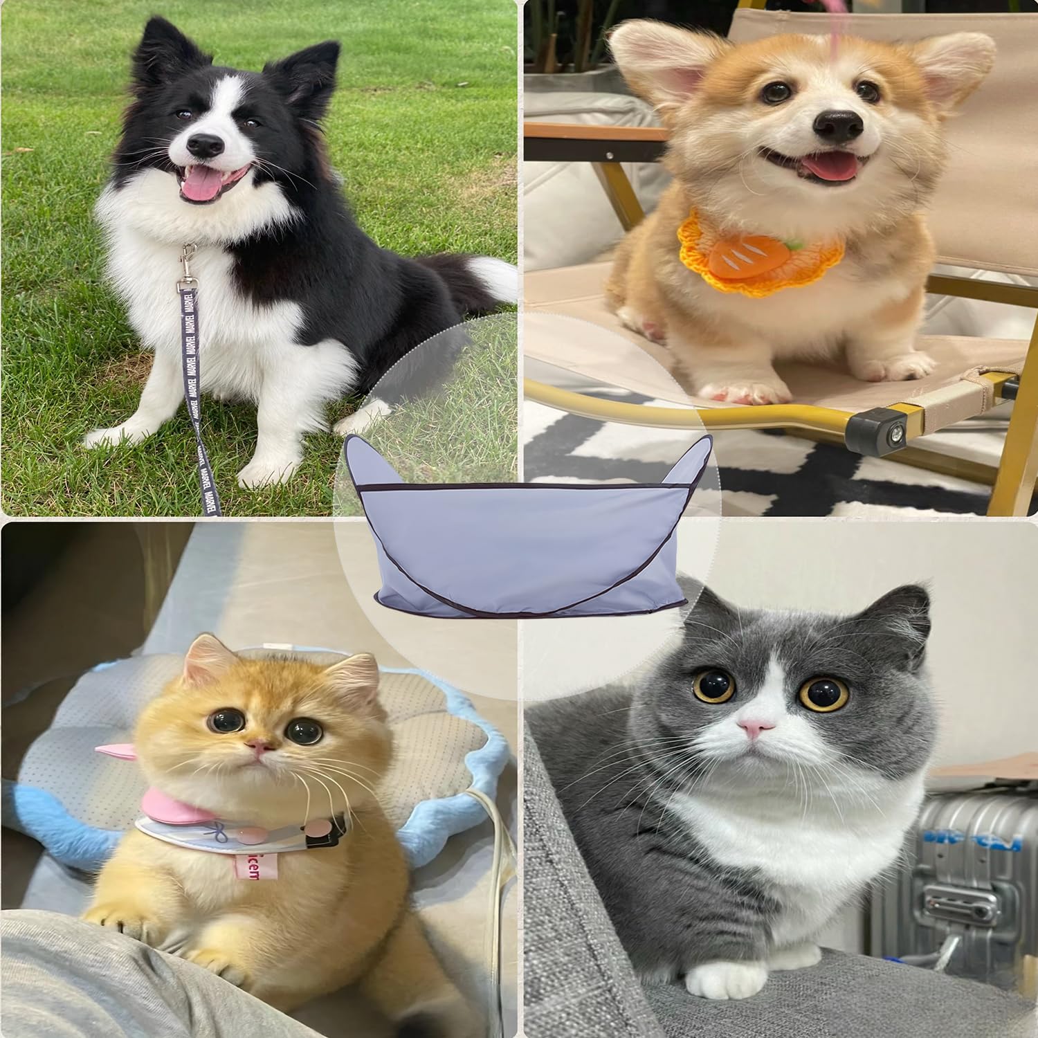 KFX-9964349 Waterproof Adjustable Pet Grooming Cape for Easy Trimming and Shaving of Dogs and Cats