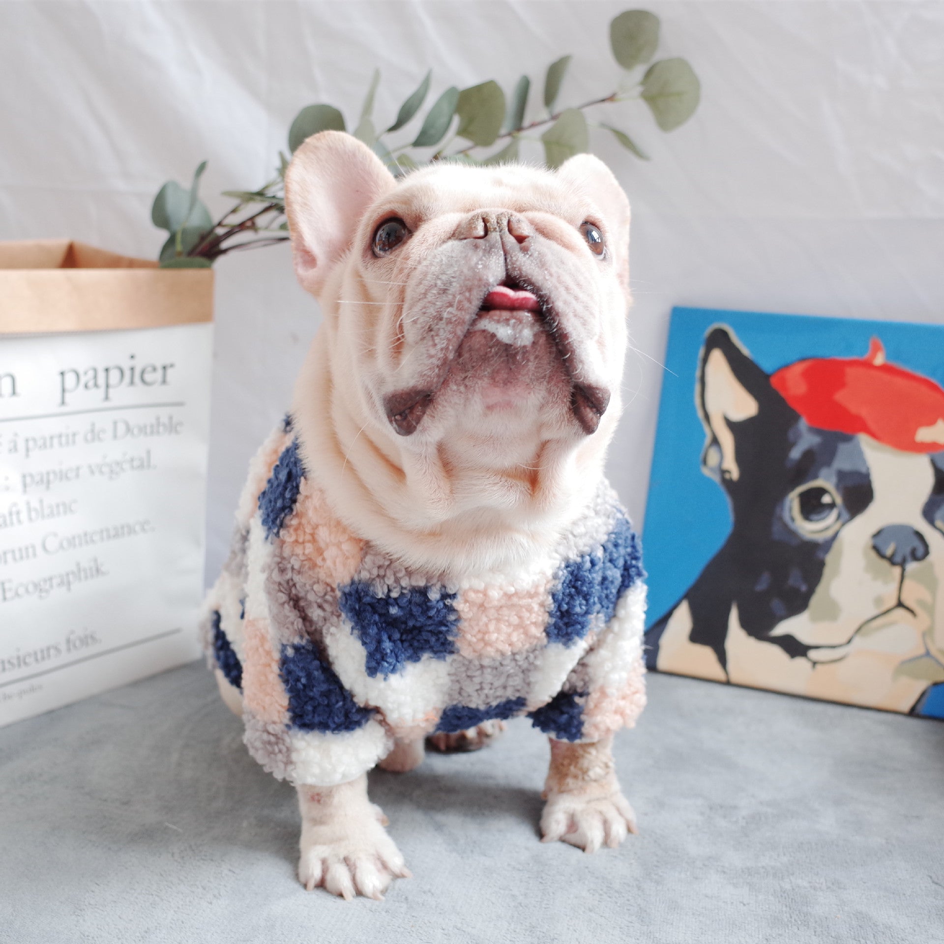 KFX-9964861 Warm Teddy Velvet Plaid Dog Clothes in Blue and Orange for Schnauzers - Sizes S to XL