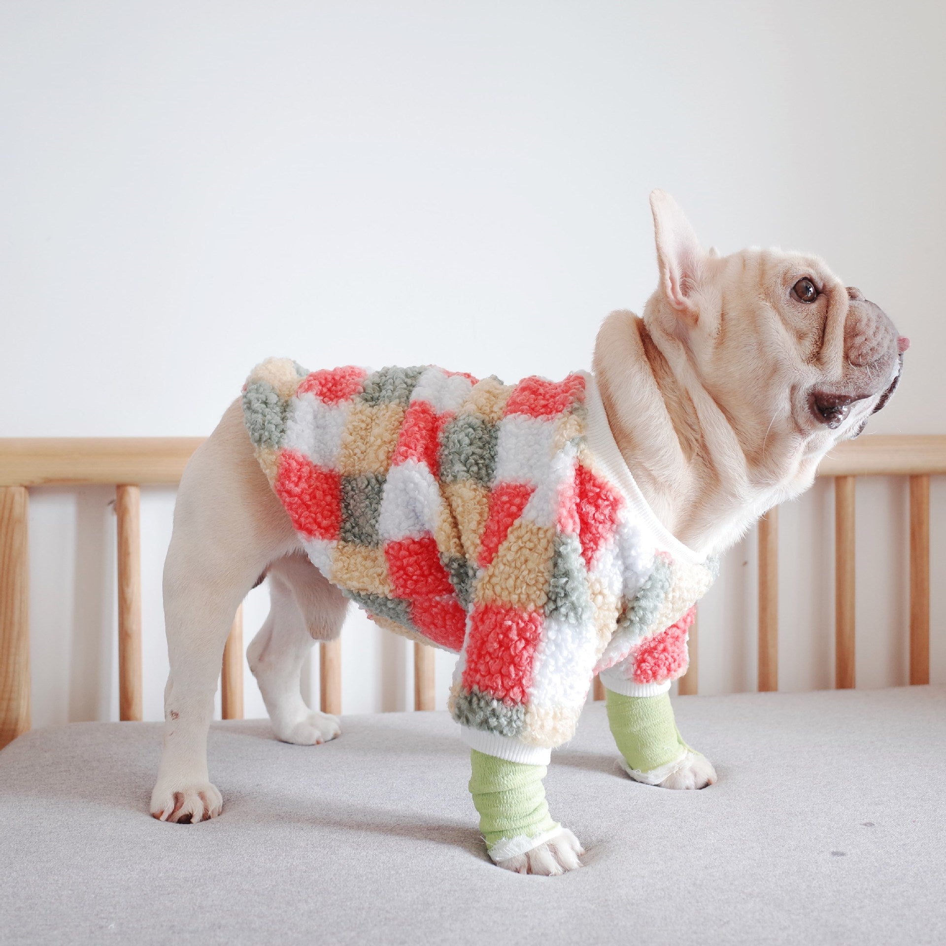 KFX-9964861 Warm Teddy Velvet Plaid Dog Clothes in Blue and Orange for Schnauzers - Sizes S to XL