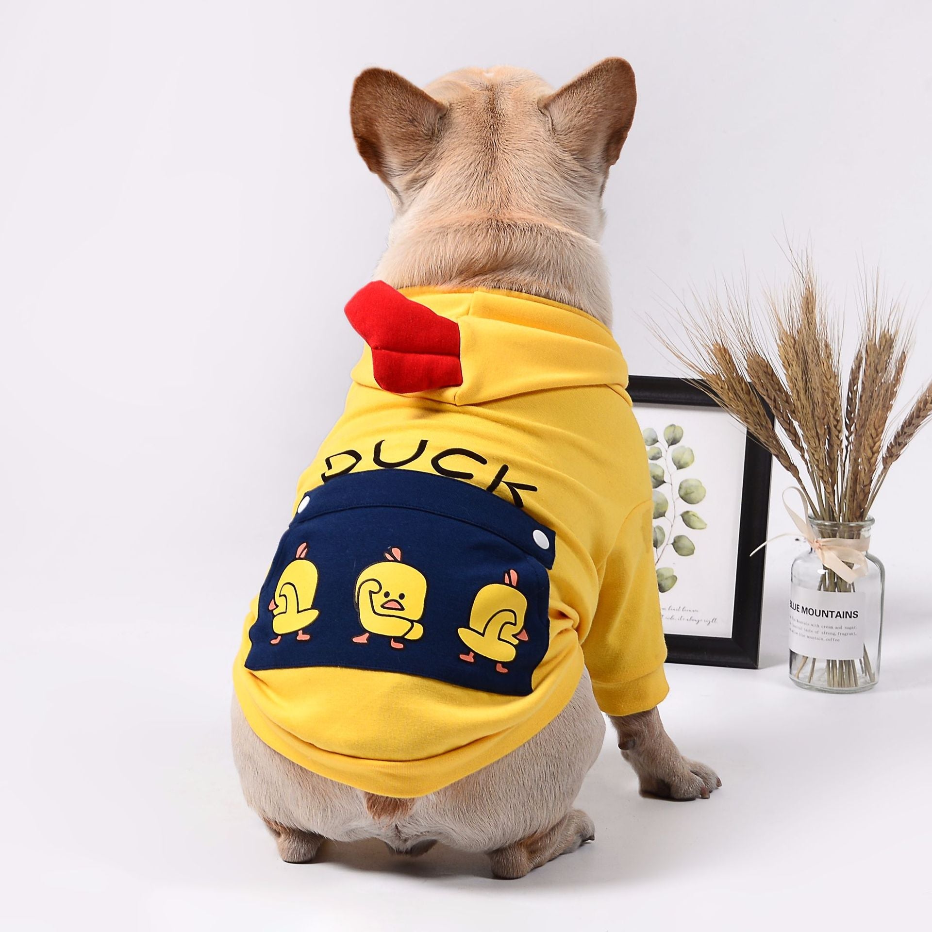 KFX-9966653 Casual Cotton Wool Sweatshirt for Dogs in Various Sizes