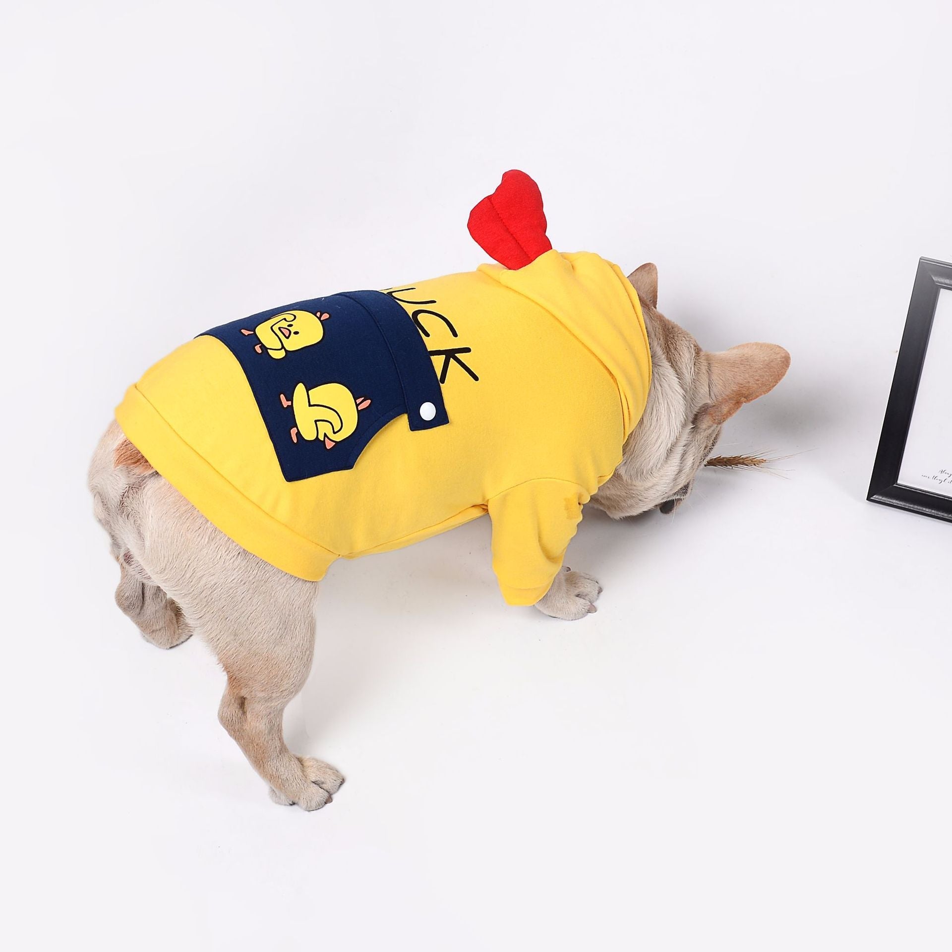 KFX-9966653 Casual Cotton Wool Sweatshirt for Dogs in Various Sizes