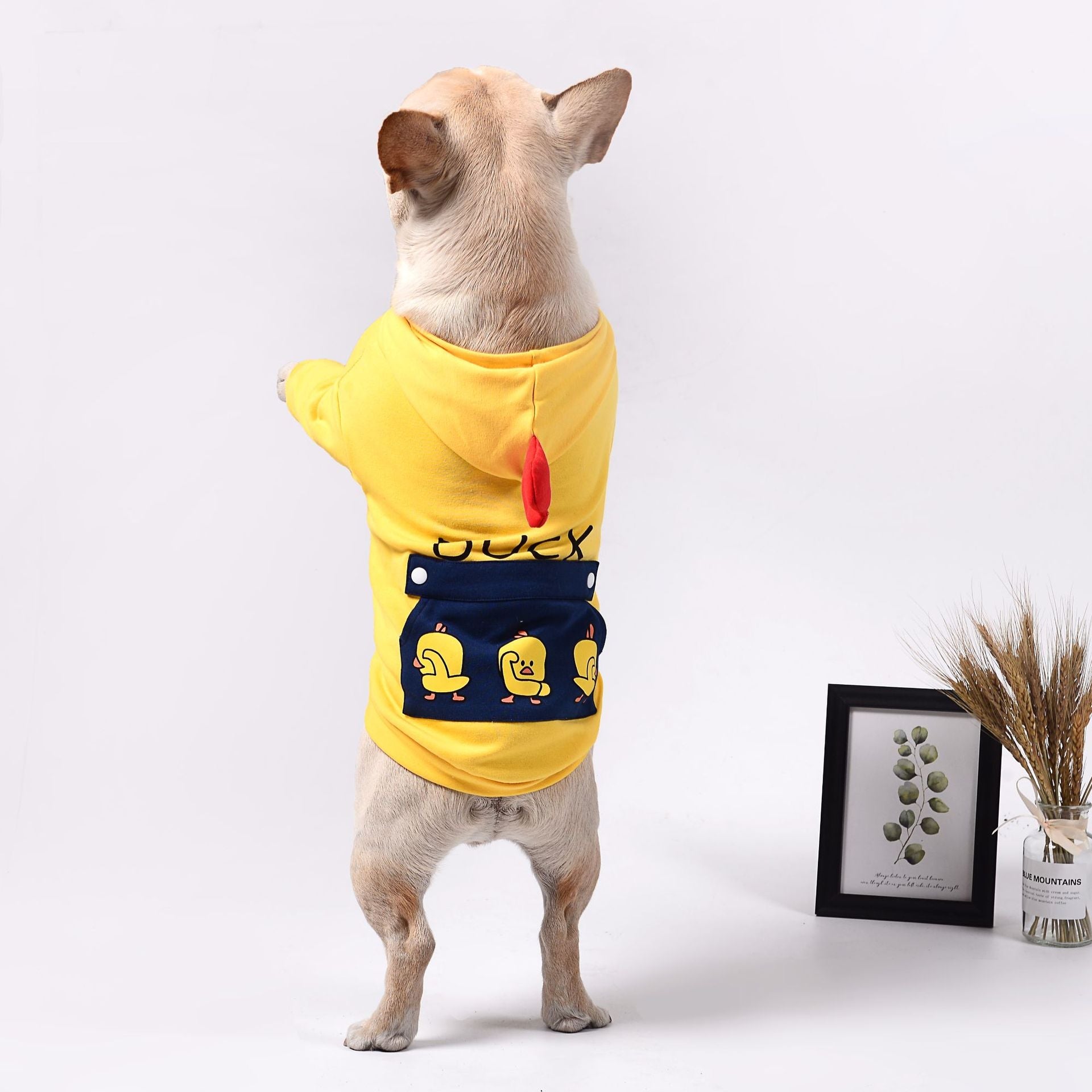 KFX-9966653 Casual Cotton Wool Sweatshirt for Dogs in Various Sizes