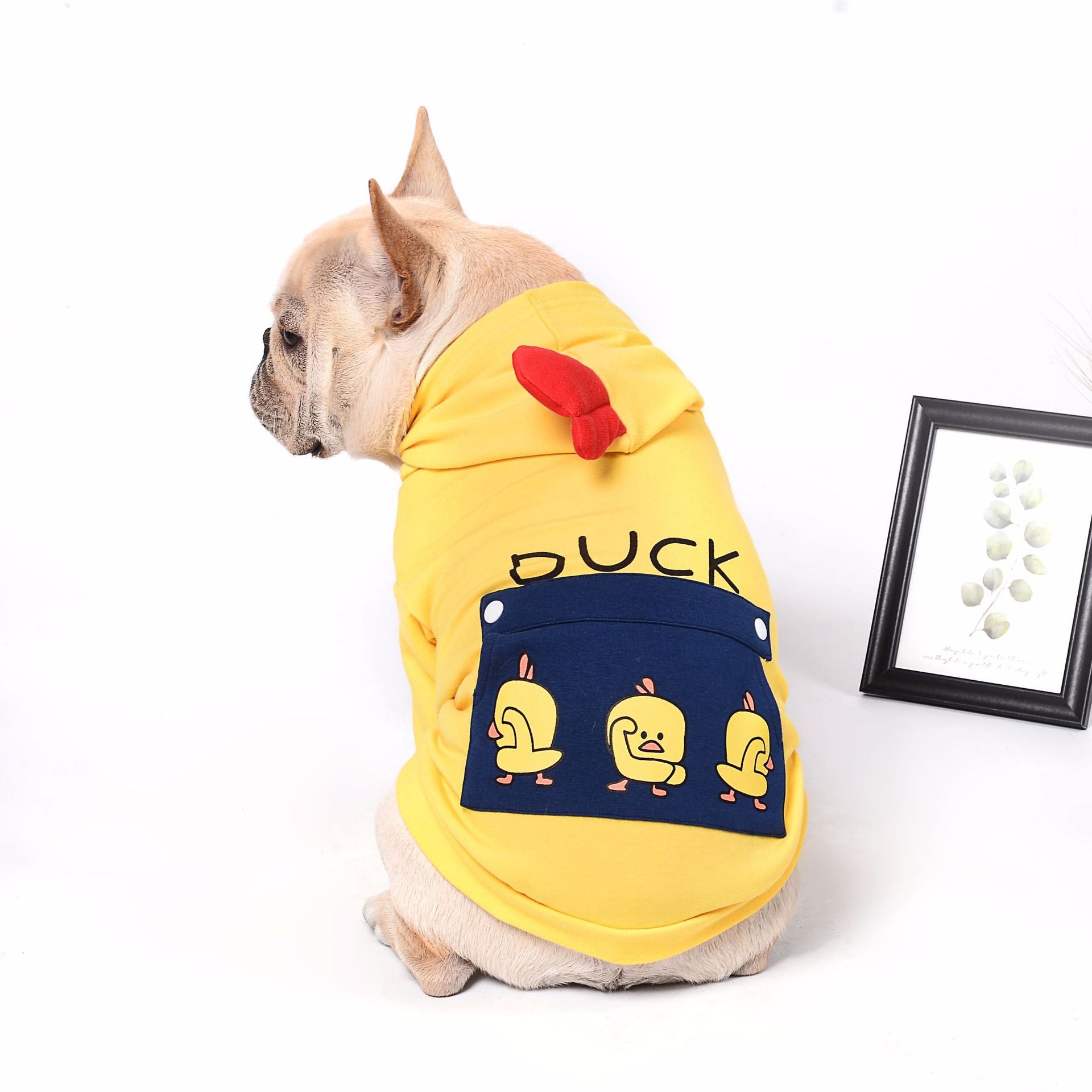 KFX-9966653 Casual Cotton Wool Sweatshirt for Dogs in Various Sizes