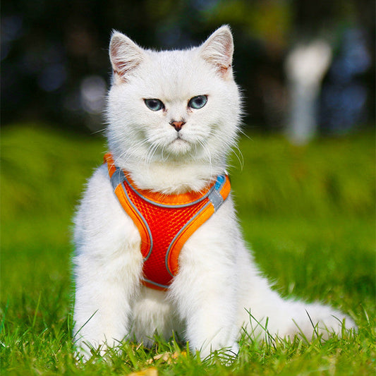 KFX-9971517 Breathable Mesh Dog Vest with Reflective Traction Rope for Comfortable Walks