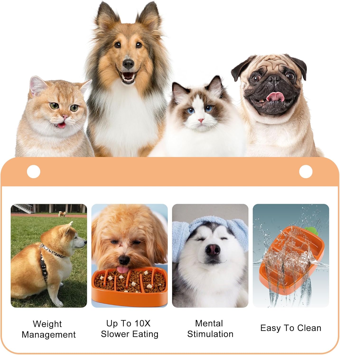 KFX-9974205 Slow Feeder Dog Bowl for Small & Medium Dogs - Carrot Design, Non-Slip Melamine with Silicone Base