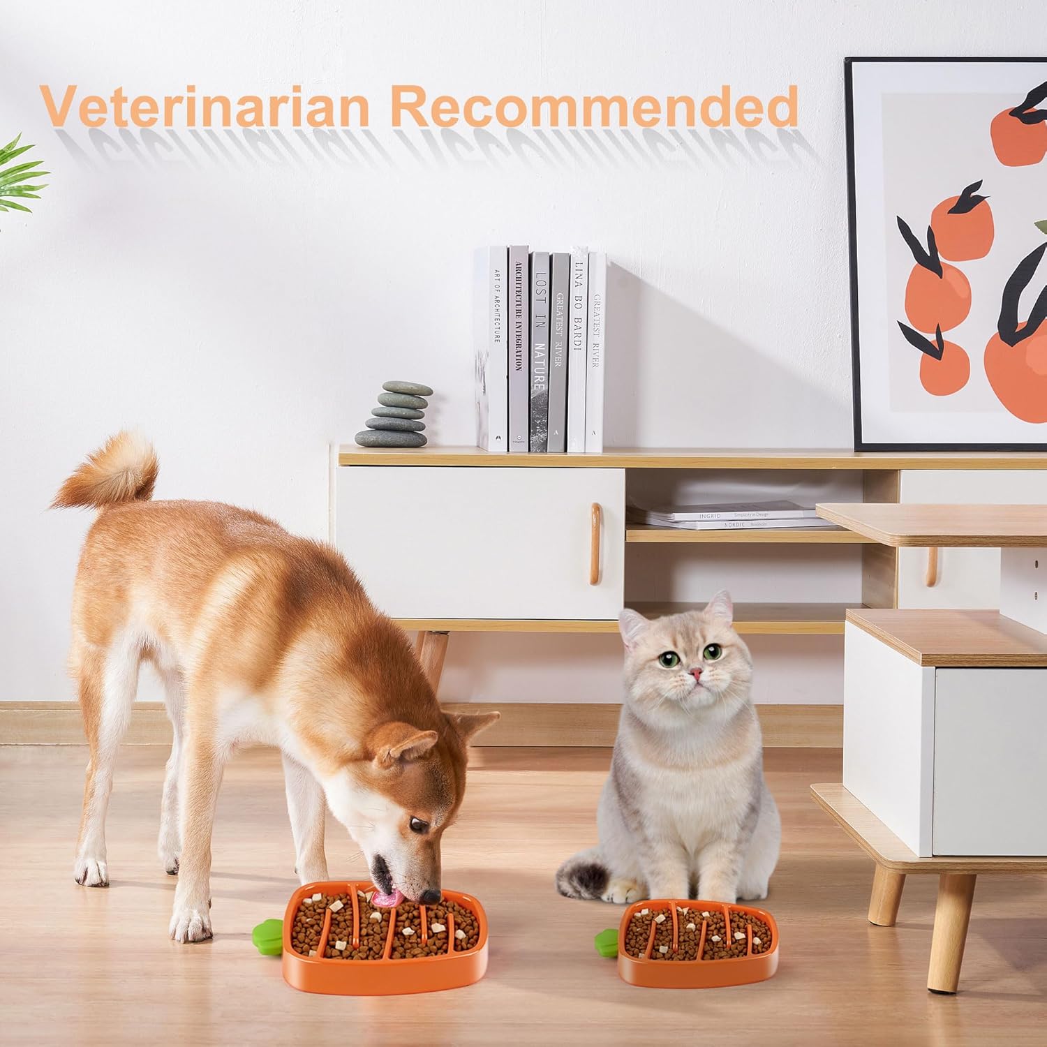 KFX-9974205 Slow Feeder Dog Bowl for Small & Medium Dogs - Carrot Design, Non-Slip Melamine with Silicone Base