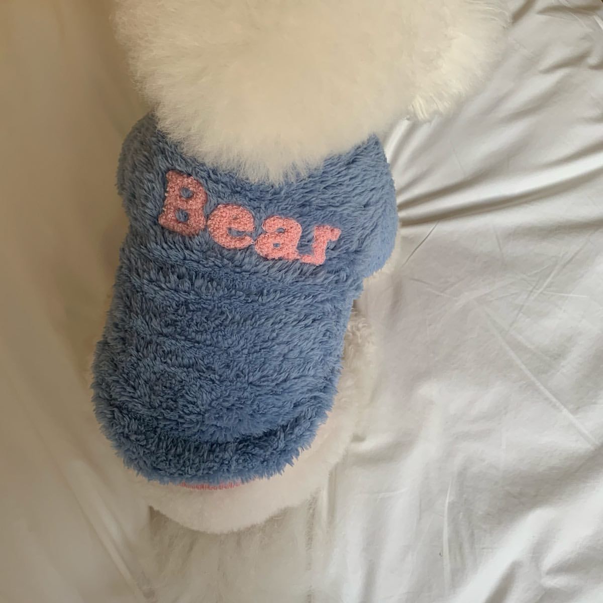 KFX-9981757 Casual Blue and Brown Polyester Pet Coat for Autumn and Winter