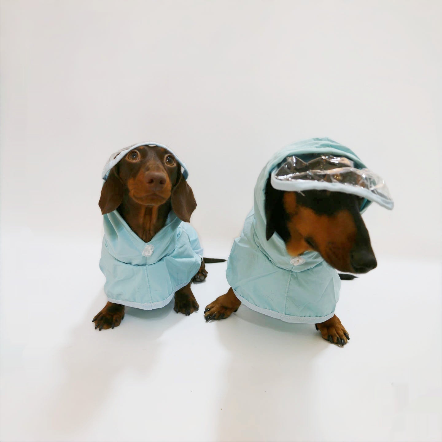 KFX-9983421 Dog Waterproof Hooded Raincoat Poncho in Sky Blue - Casual Style for Small to Extra Large Pets