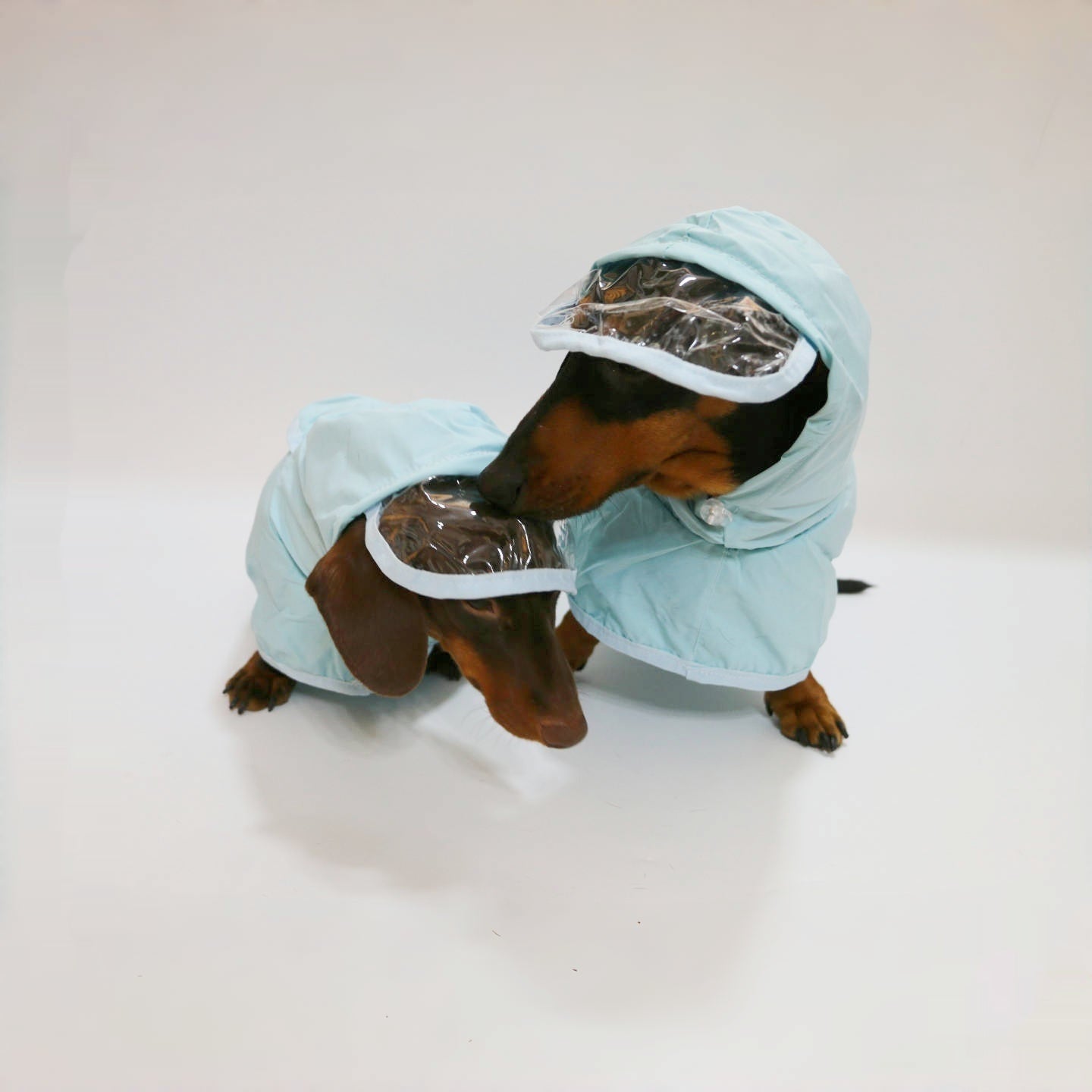 KFX-9983421 Dog Waterproof Hooded Raincoat Poncho in Sky Blue - Casual Style for Small to Extra Large Pets
