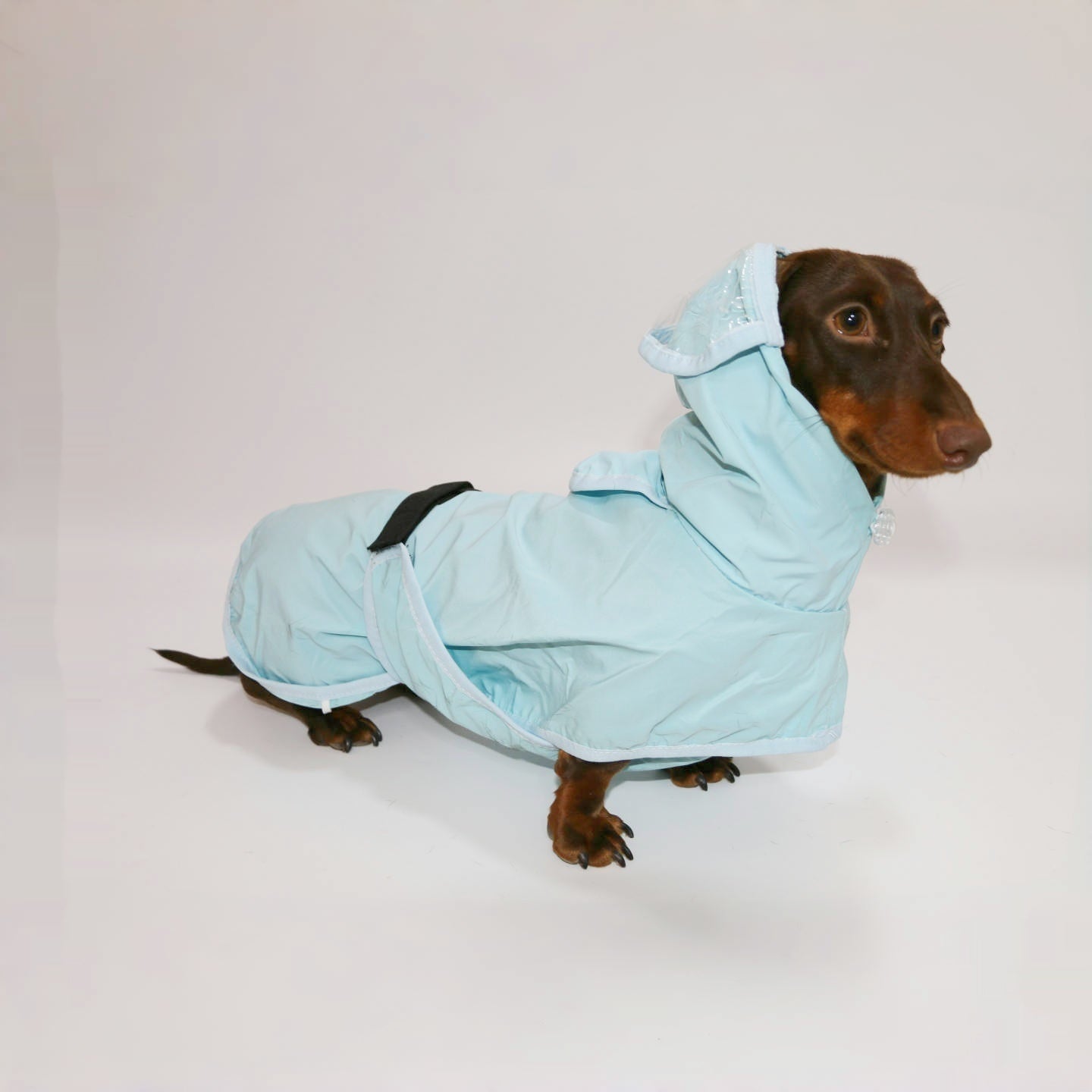 KFX-9983421 Dog Waterproof Hooded Raincoat Poncho in Sky Blue - Casual Style for Small to Extra Large Pets