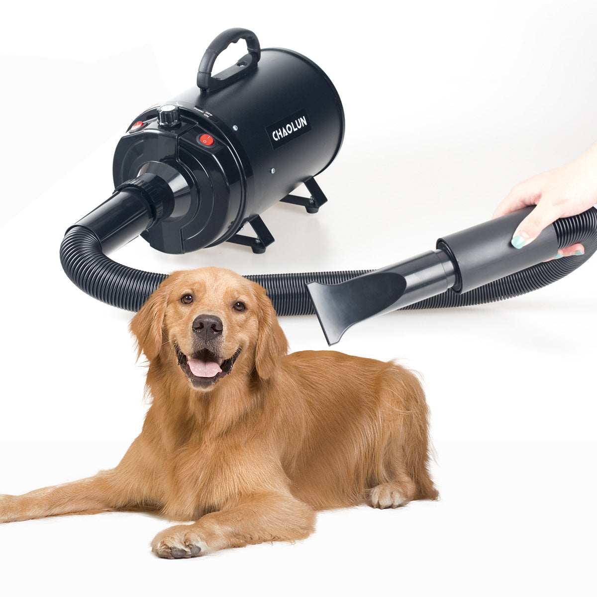 KFX-9987005 High-Power Pet Water Blowing Machine for Quick Drying Dogs and Cats, Adjustable Wind Speed and Temperature