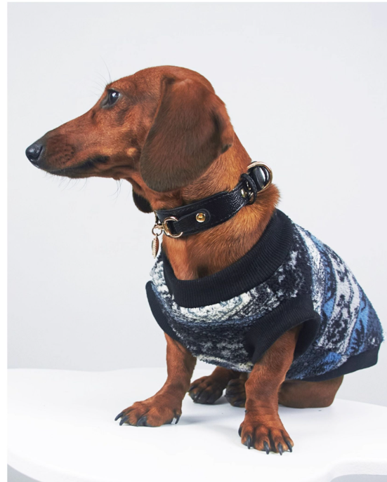 KFX-9988285 Cozy Geometric Patterned Pet Vest for Autumn and Winter