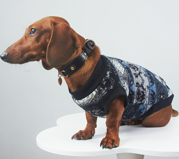 KFX-9988285 Cozy Geometric Patterned Pet Vest for Autumn and Winter