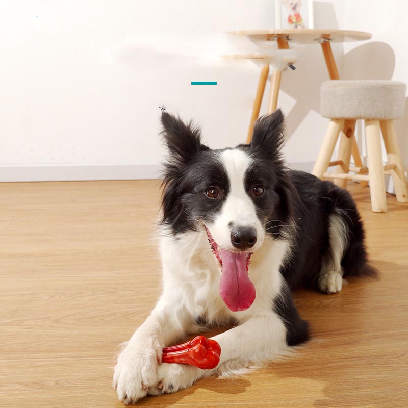KFX-9990333 Durable Chew-Resistant Dog Molar Stick - TPU & Nylon Options Available
