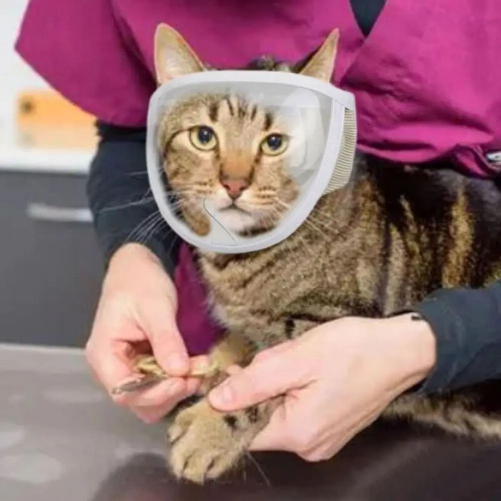 KFX-9992765 Breathable Anti-Bite Muzzle for Cats and Dogs – Soft Cotton and Transparent PVC, Comfortable Design with Air Hole