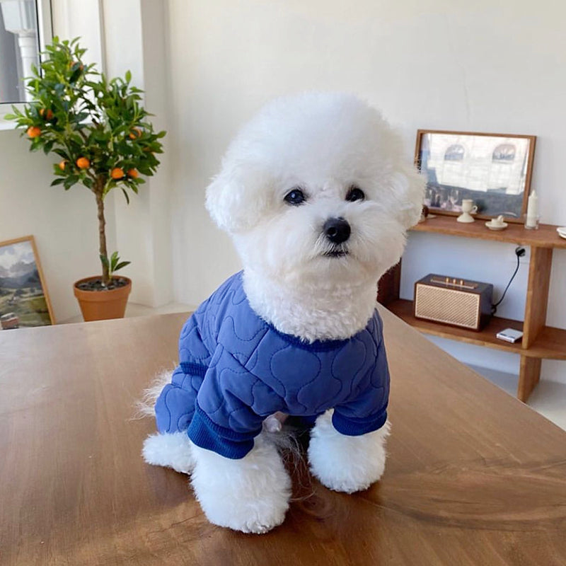 KFX-9993917 Thickened Cotton-Padded Pet Clothing in Blue, Yellow, and Beige - Size XS to XL