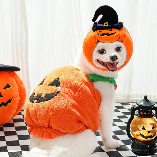 KFX-9994301 Festive Pumpkin Vest for Pets - Comfortable Cat and Dog Costume Harness for Halloween and Thanksgiving