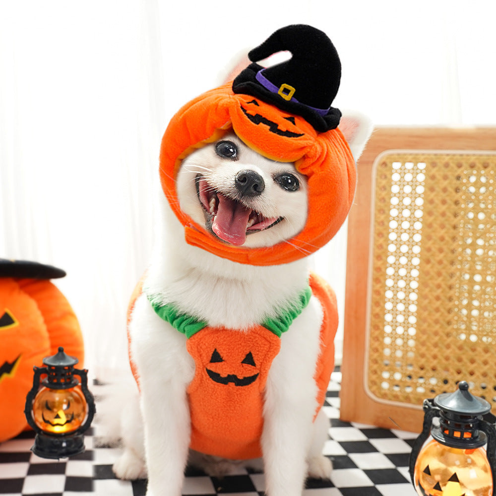 KFX-9994301 Festive Pumpkin Vest for Pets - Comfortable Cat and Dog Costume Harness for Halloween and Thanksgiving