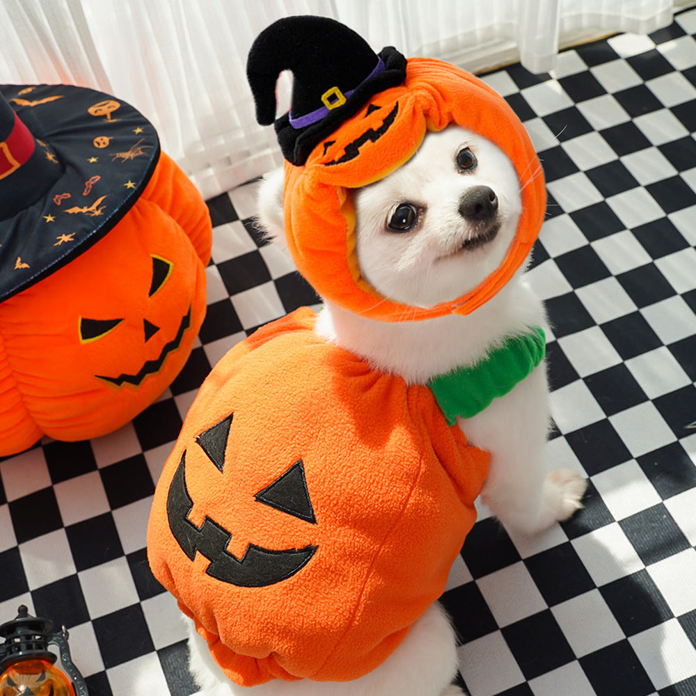 KFX-9994301 Festive Pumpkin Vest for Pets - Comfortable Cat and Dog Costume Harness for Halloween and Thanksgiving